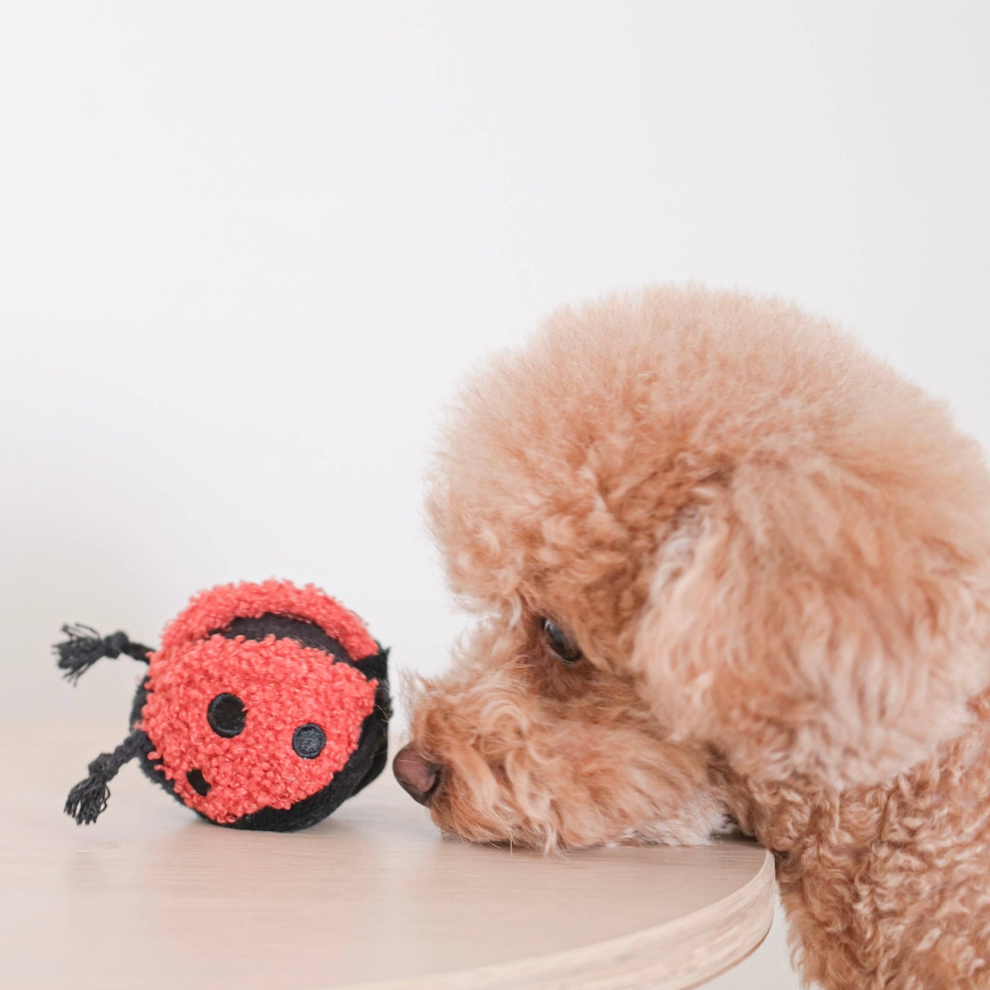 GARDEN SET // ENRICHMENT DOG TOY // SNUFFLE TOY SET