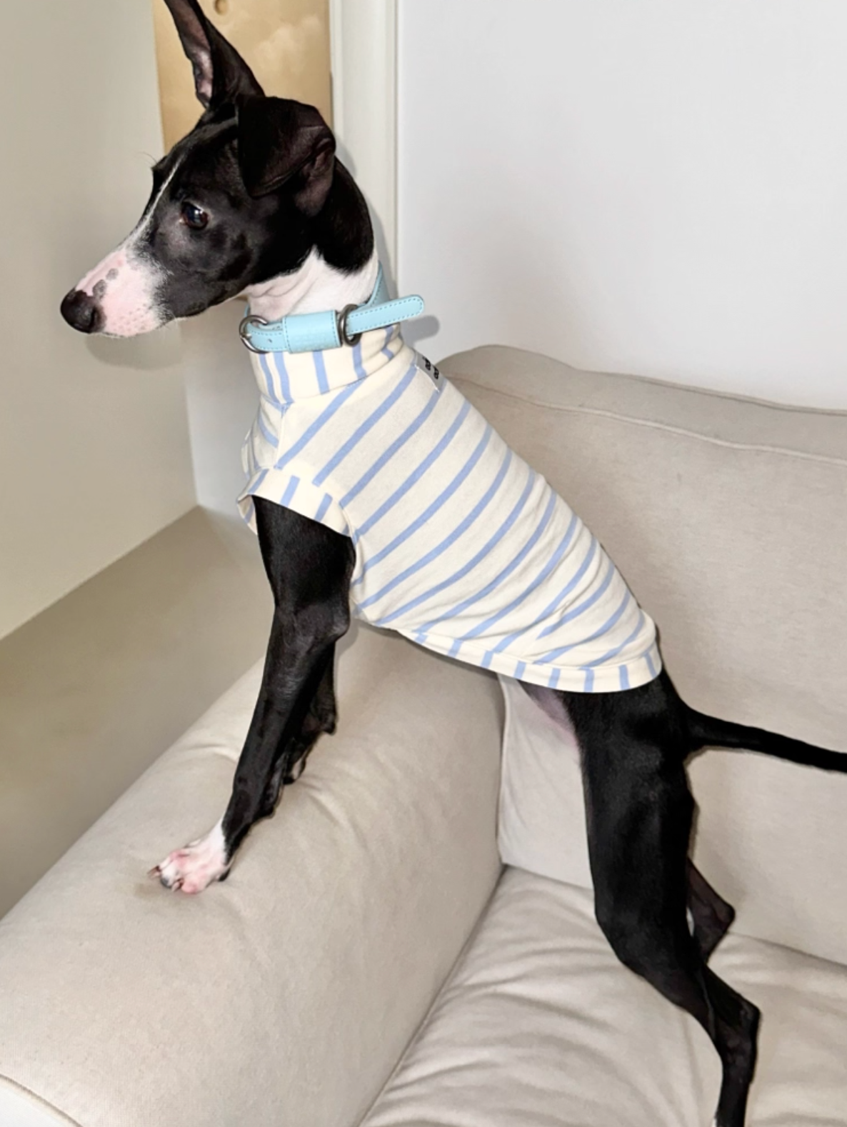 Blue n White Stripes Cotton Top