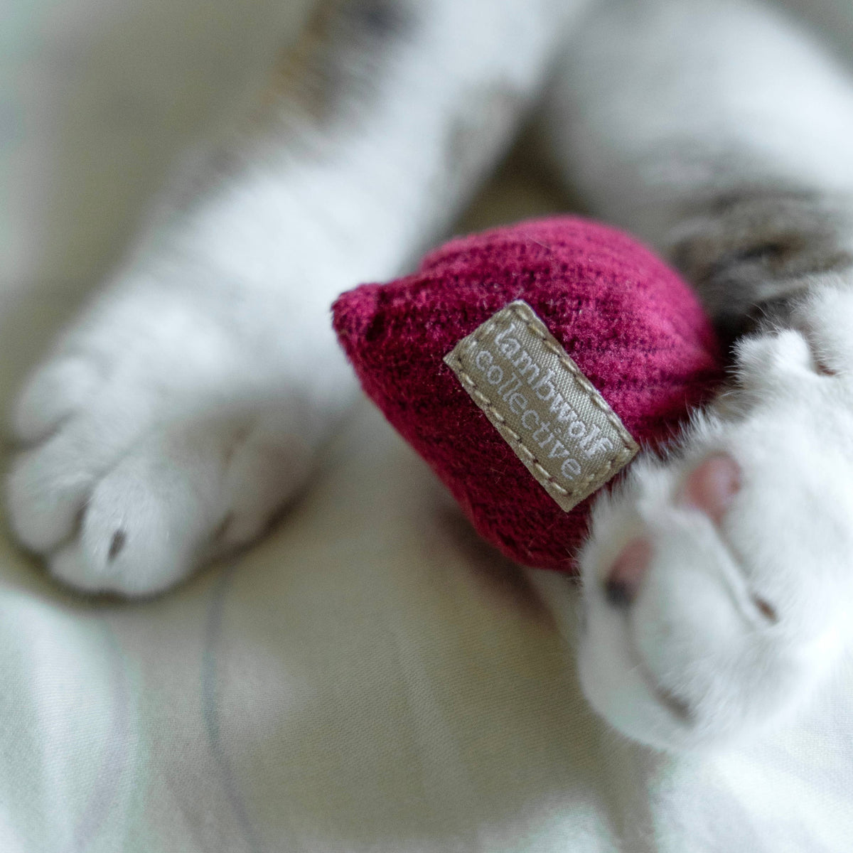 Kitty Radish | Cat Toy | Catnip