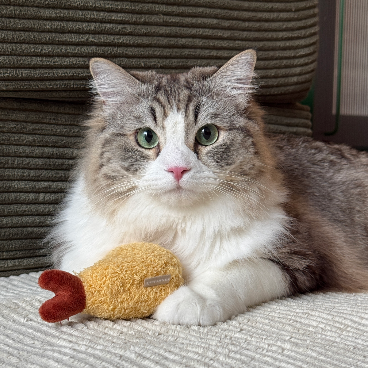 Kitty Tempura