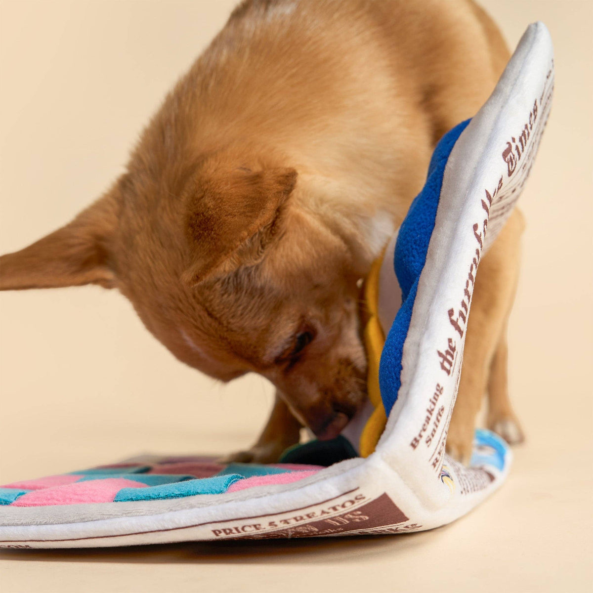 Newspaper Issue No. 2 Nosework Toy