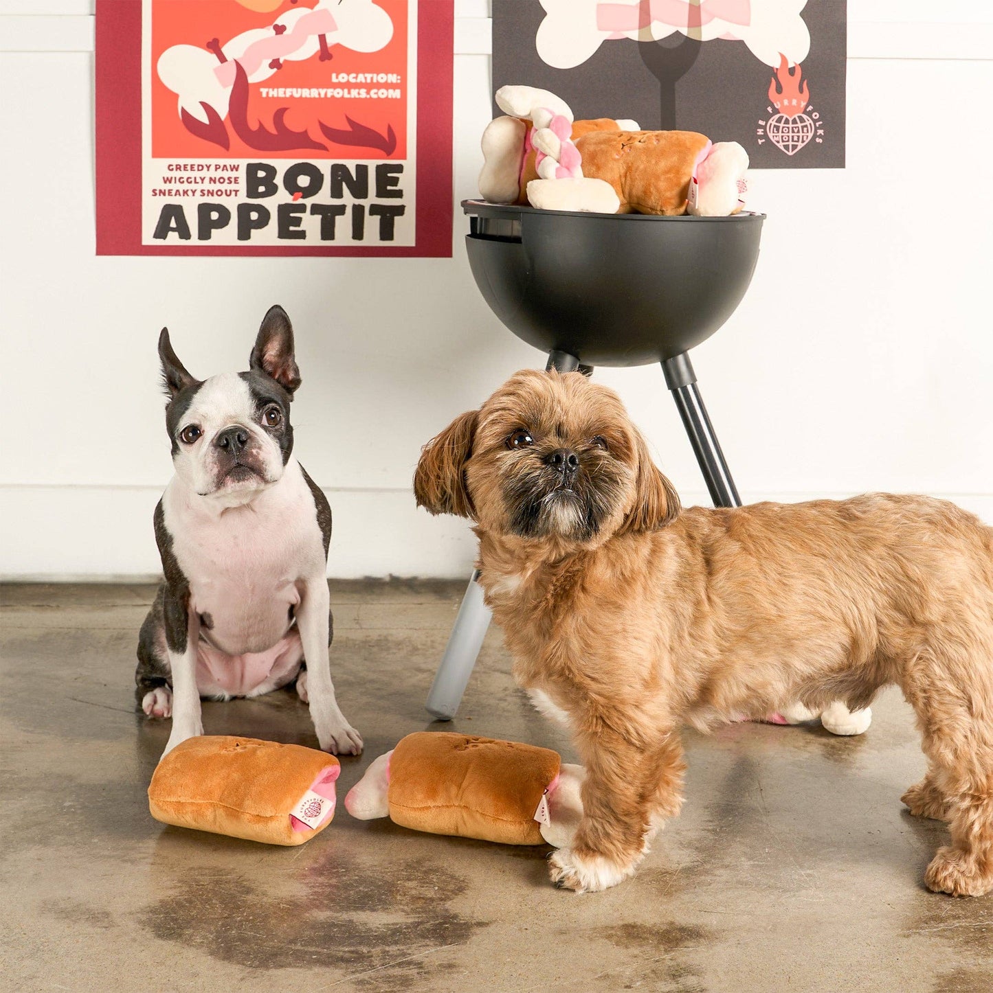 FurryFolks Bone Appétit Nosework Toy