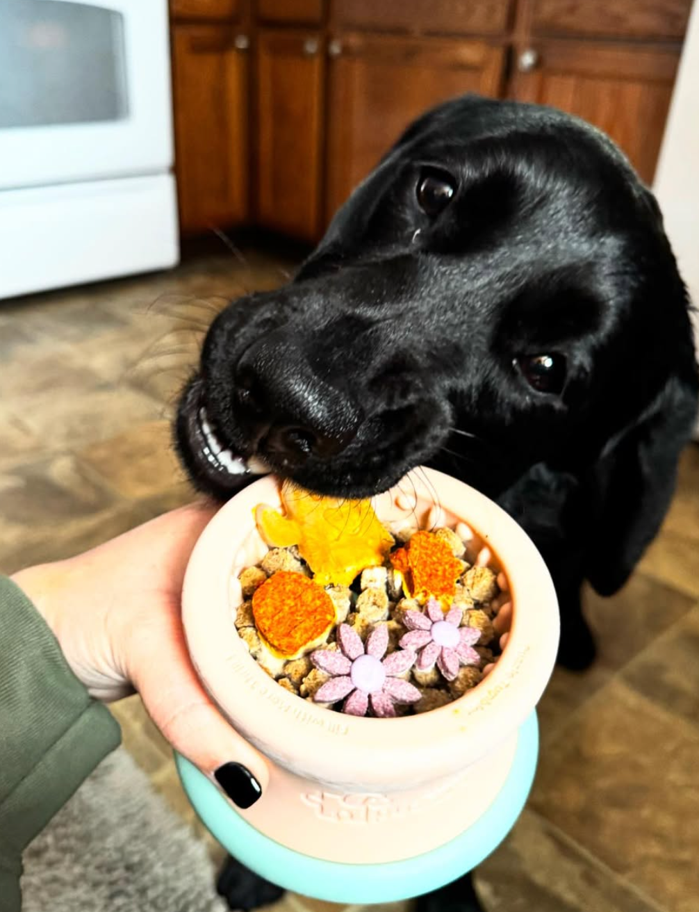 Puzzle Tumbler Detachable Enrichment Toy L/XL