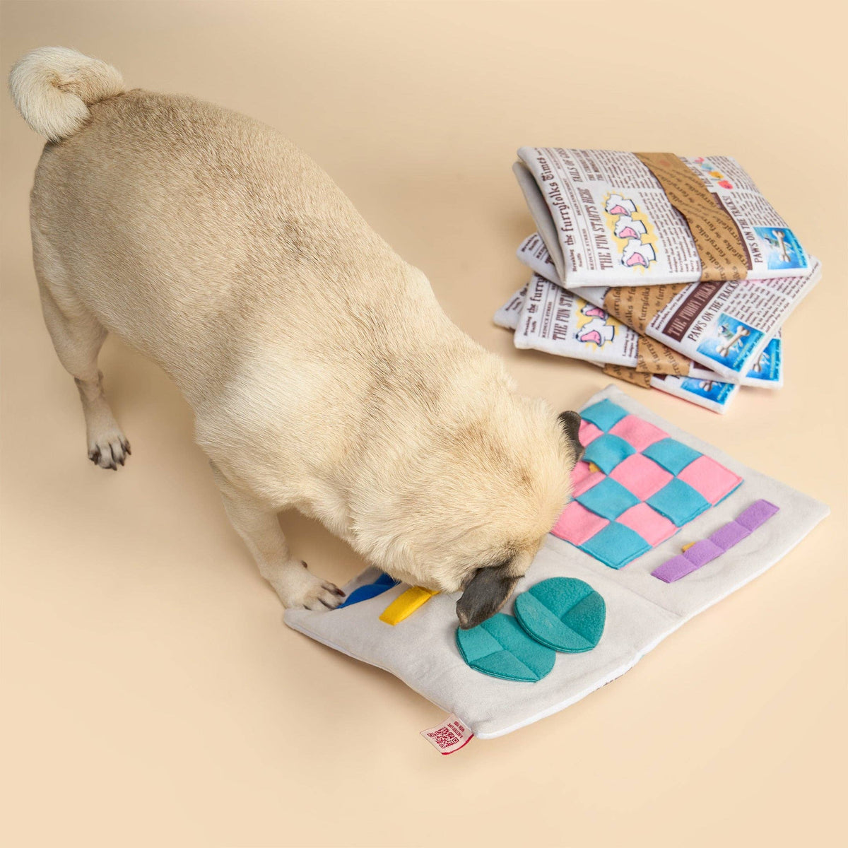 Newspaper Issue No. 2 Nosework Toy