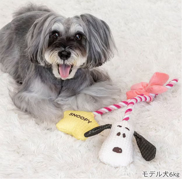 Valentine Star Snoopy Rope Toy