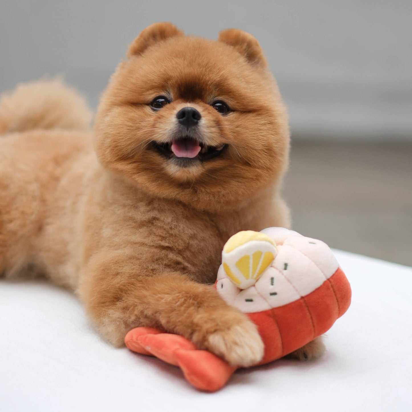Grilled Lobster Nosework Toy