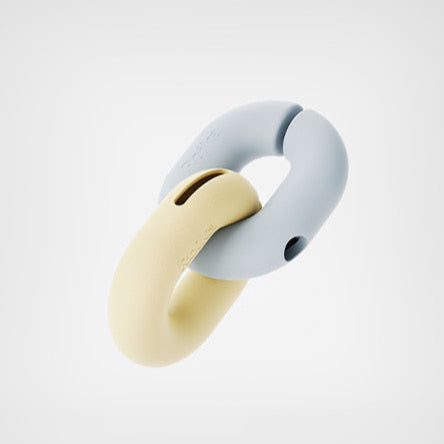 Gori U-Ring Puzzle Toy