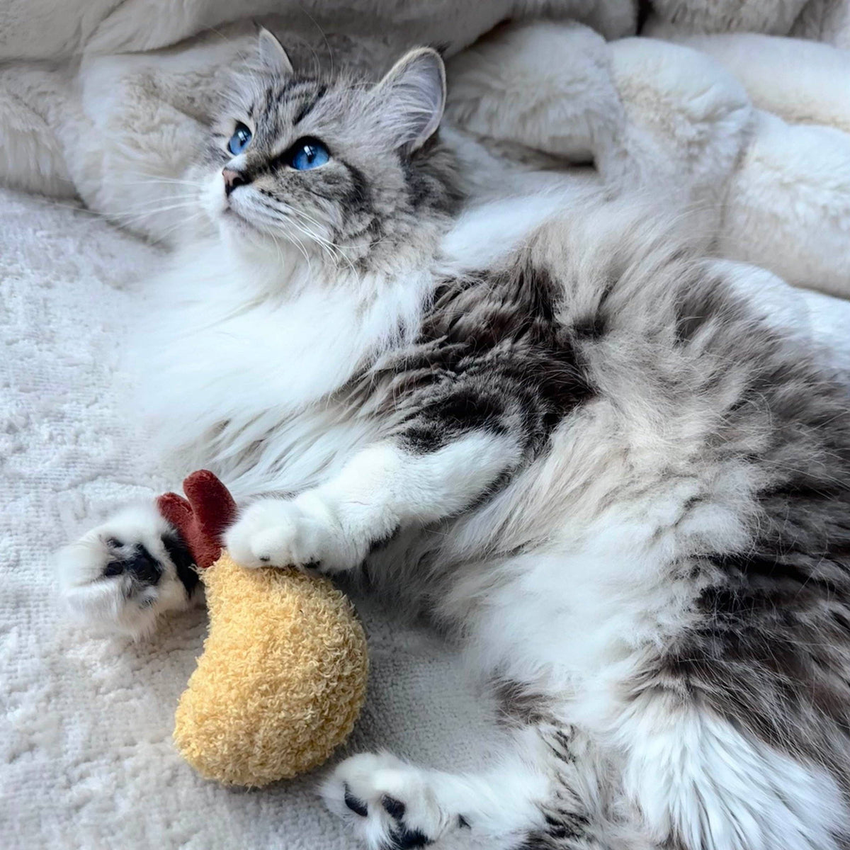 Kitty Tempura