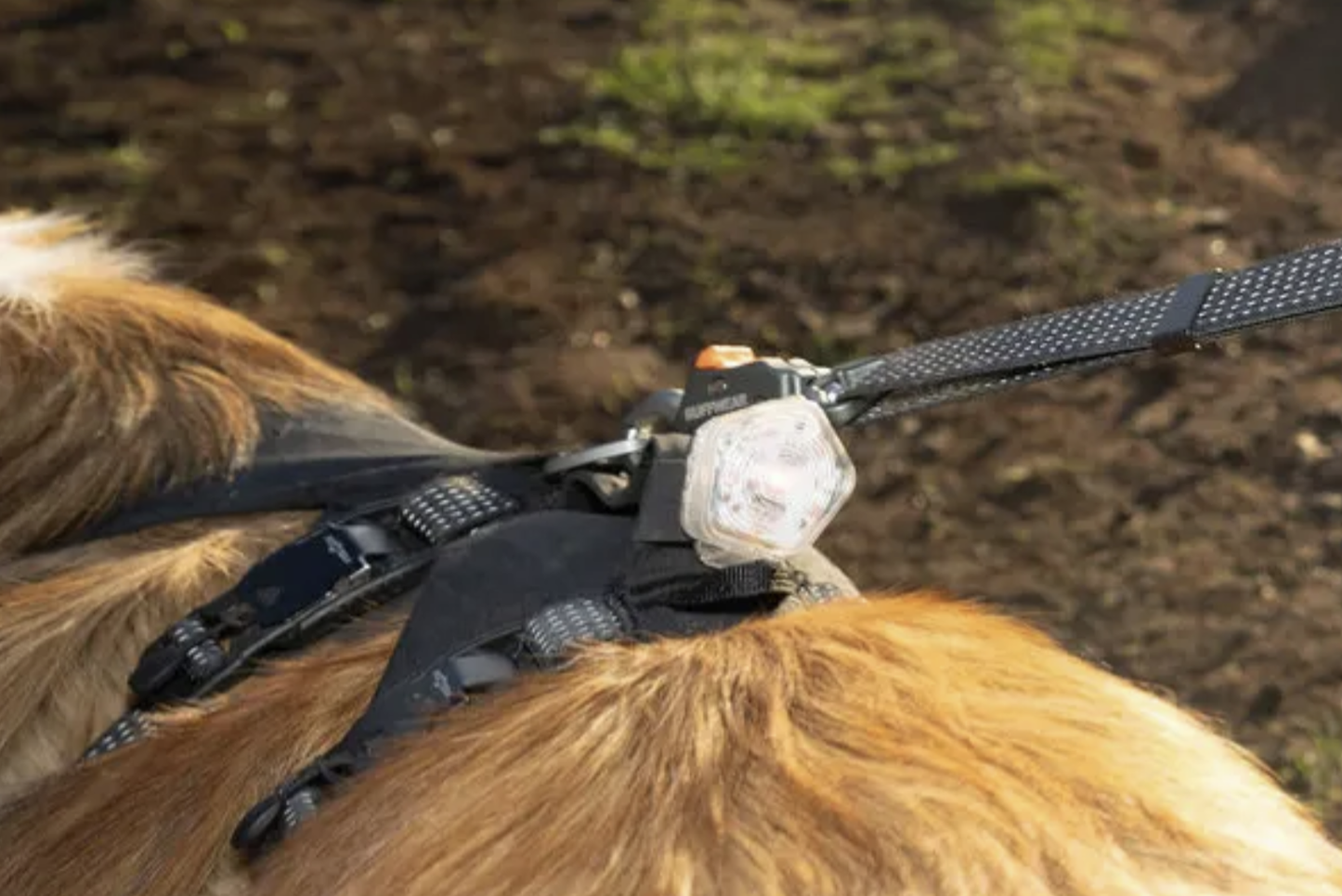 Ruffwear RIDGELINE Leash Obsidian Black