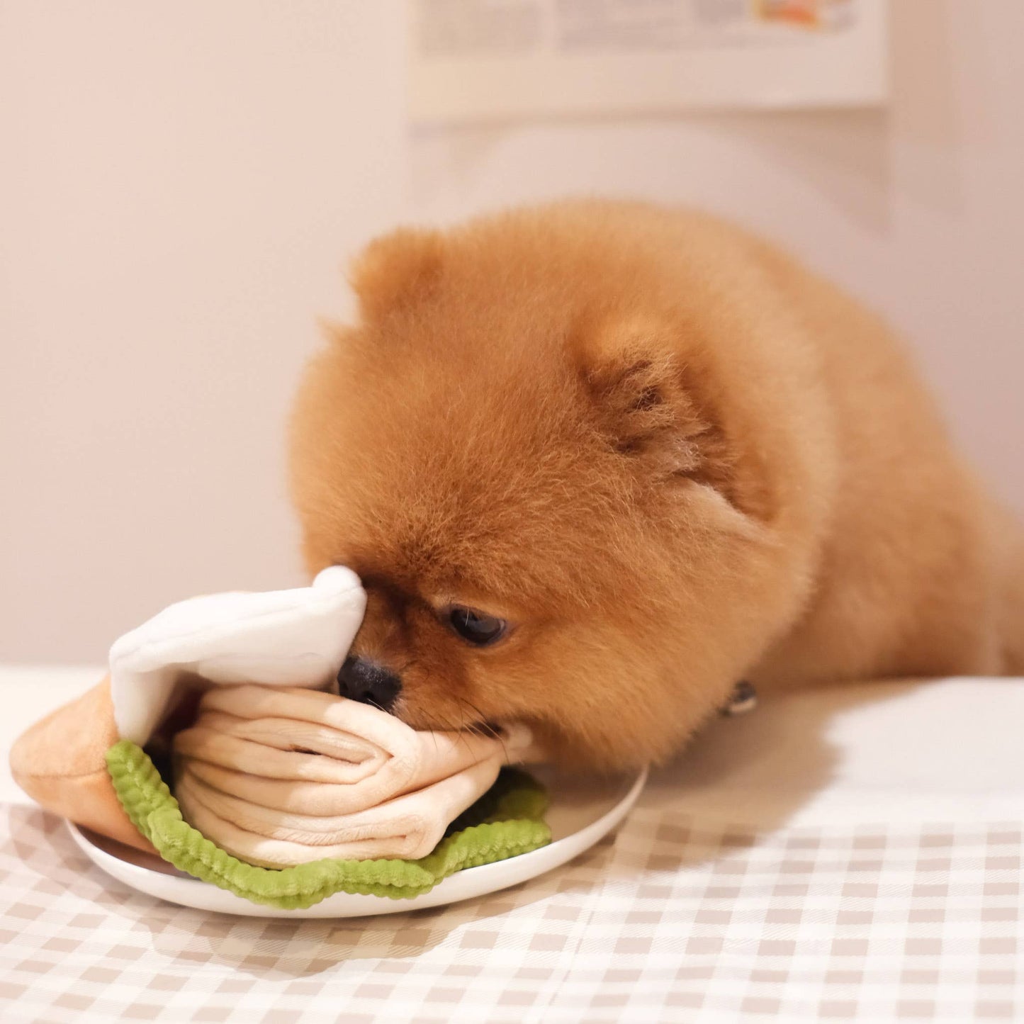 Pita Pocket Nosework Toy