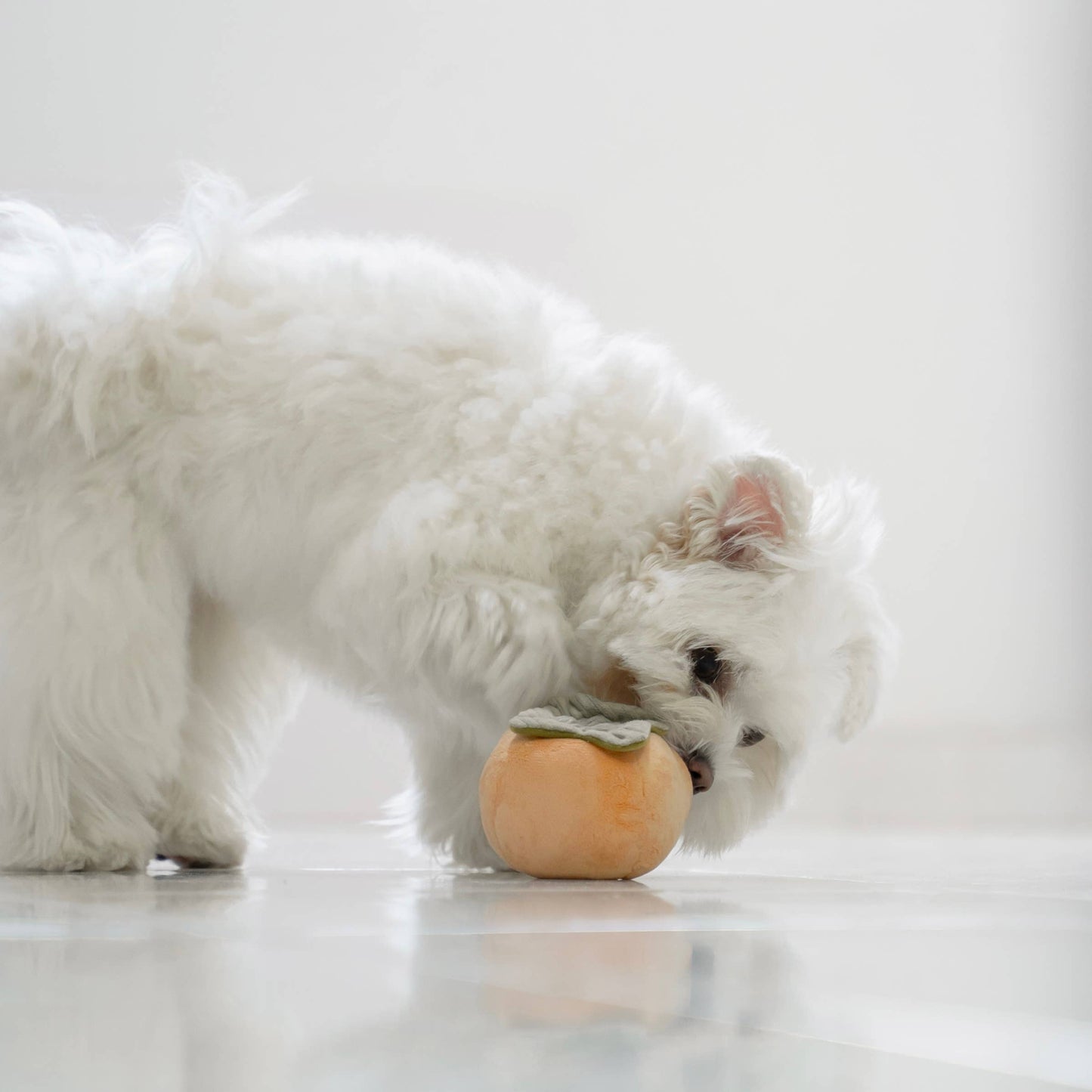 Lambwolf Collective Fruit Set Enrichment Toy