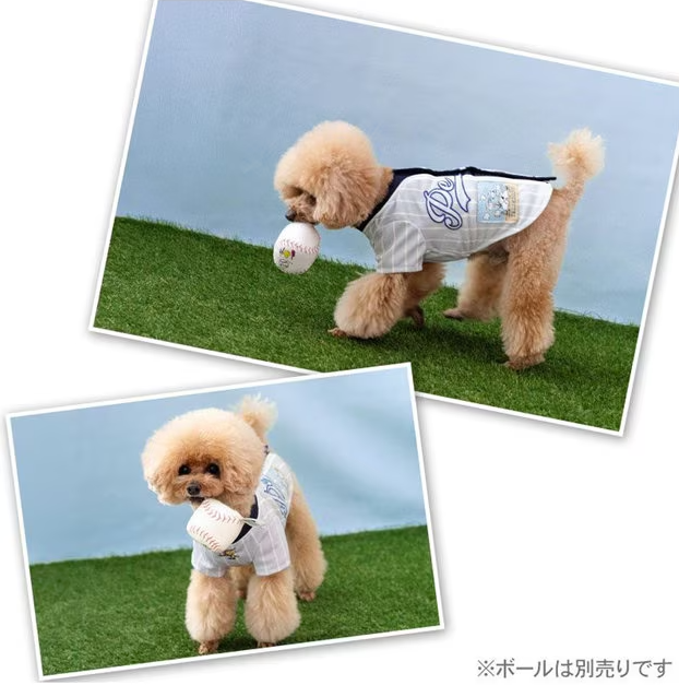 Snoopy Baseball T-Shirt ICE BLUE