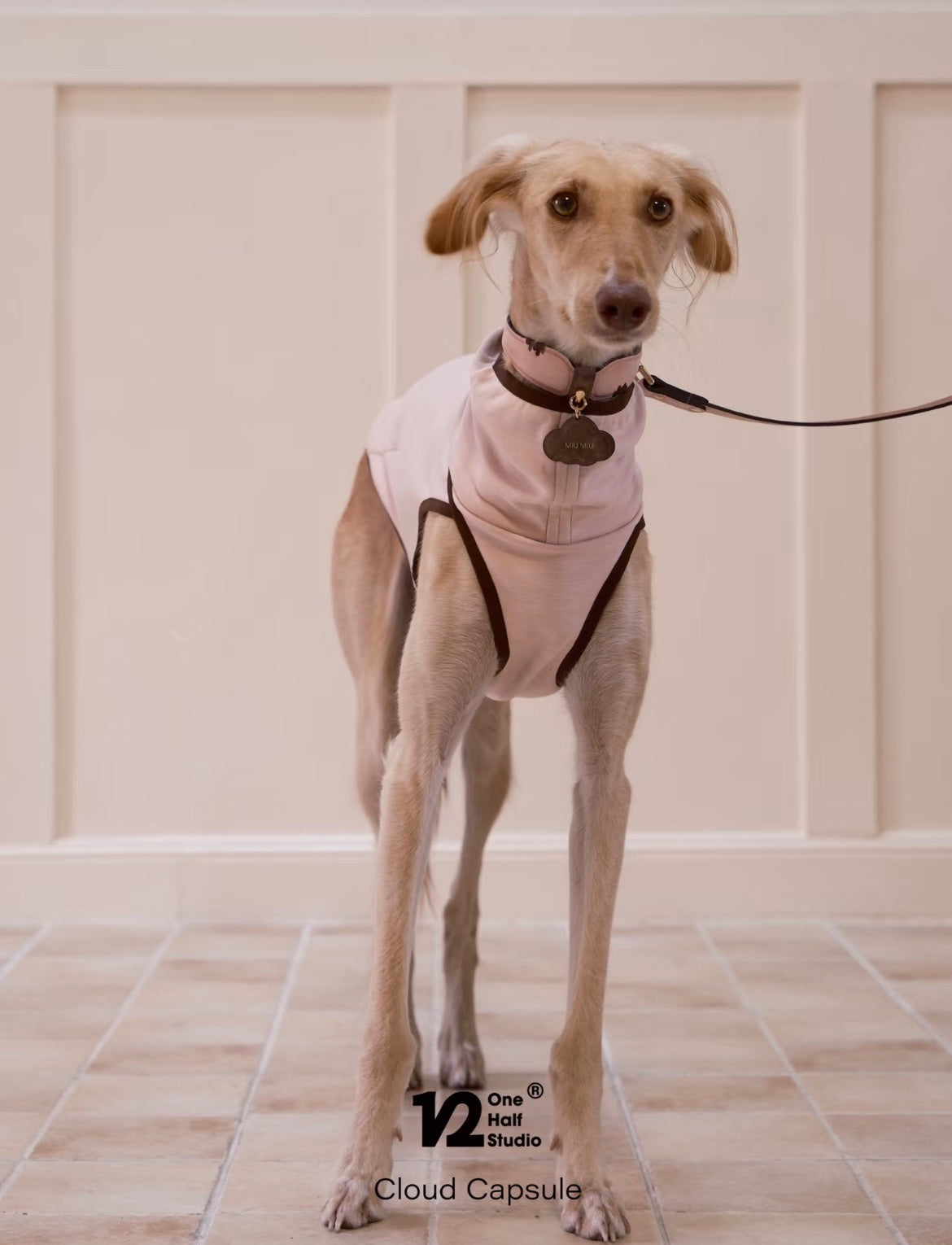 The Cloud Capsule Leather Pet Collar