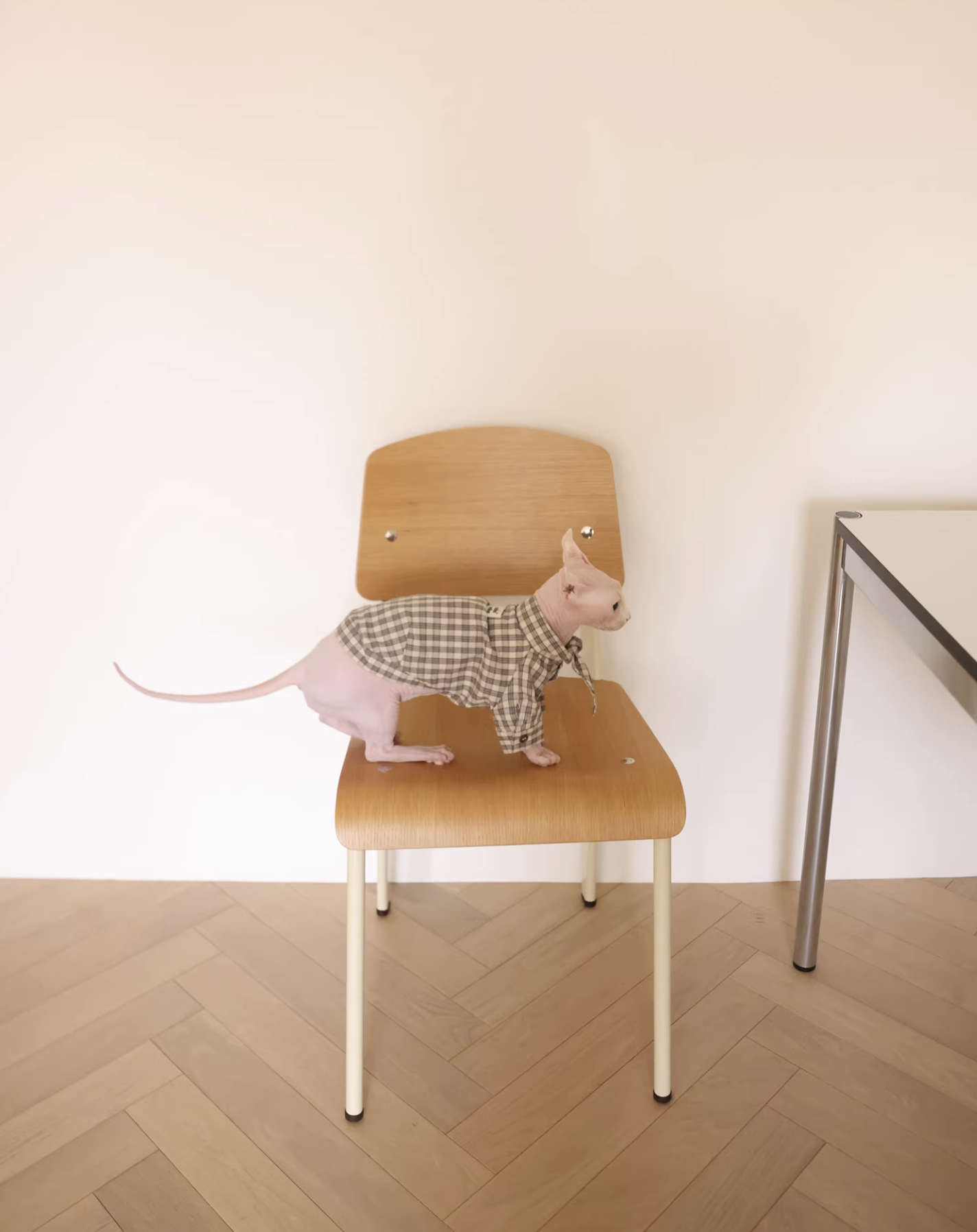 GT Series Hazelnut Plaid Tie-Neck Shirt