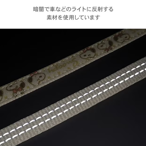 Snoopy Birthday Lead 2025