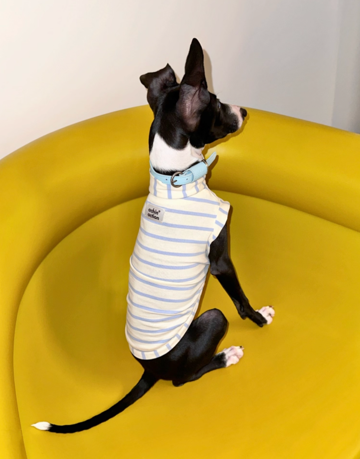 Blue n White Stripes Cotton Top