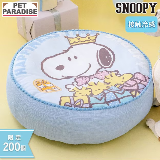 Birthday Snoopy Gift Cushion Cooling Bed 2025 Limited Edition