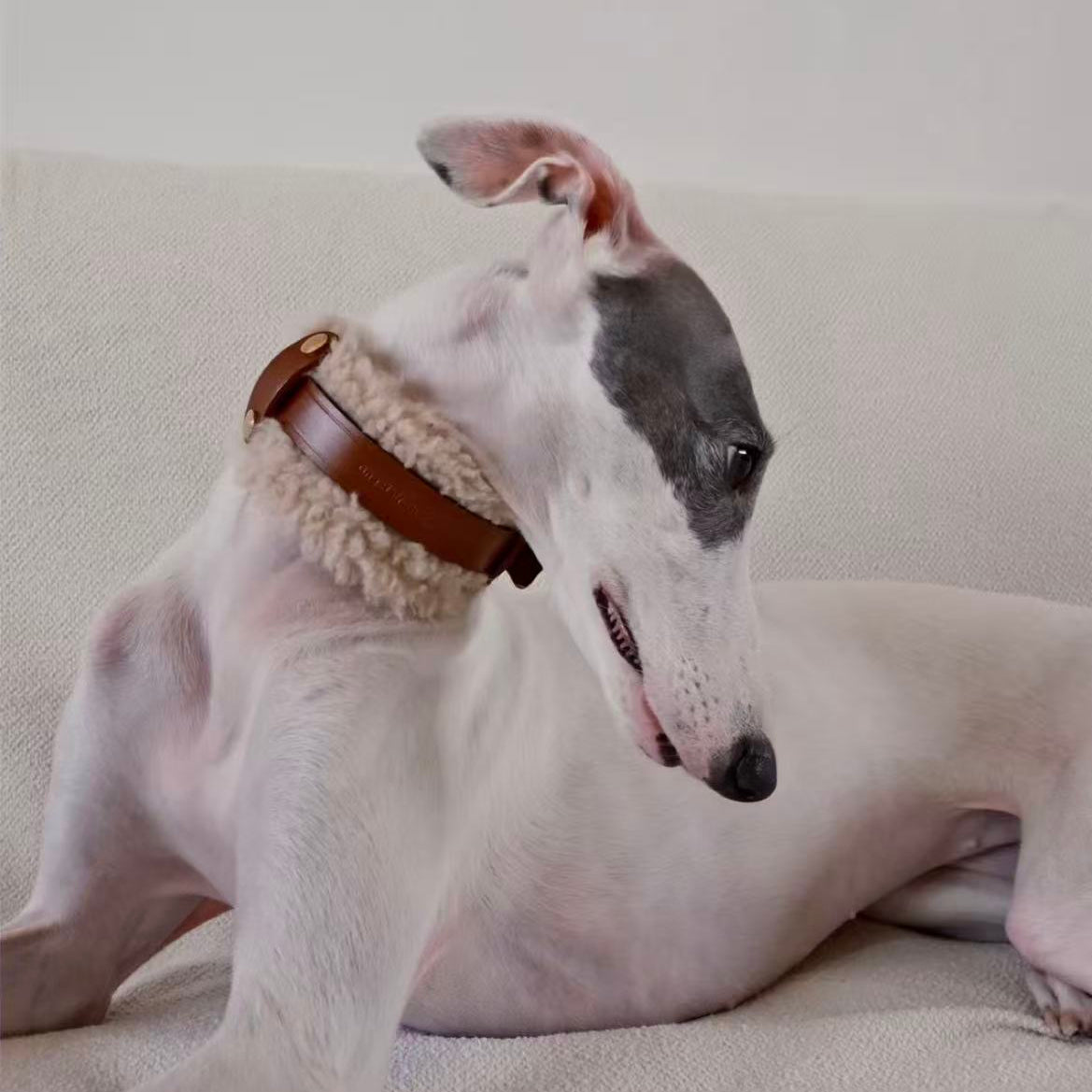 Merino Wool & Leather Collar
