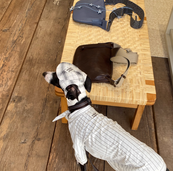 Achin Action Plaid Baseball Cap White