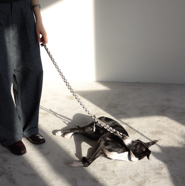 Diamond Lattice Braided Leash with Beads