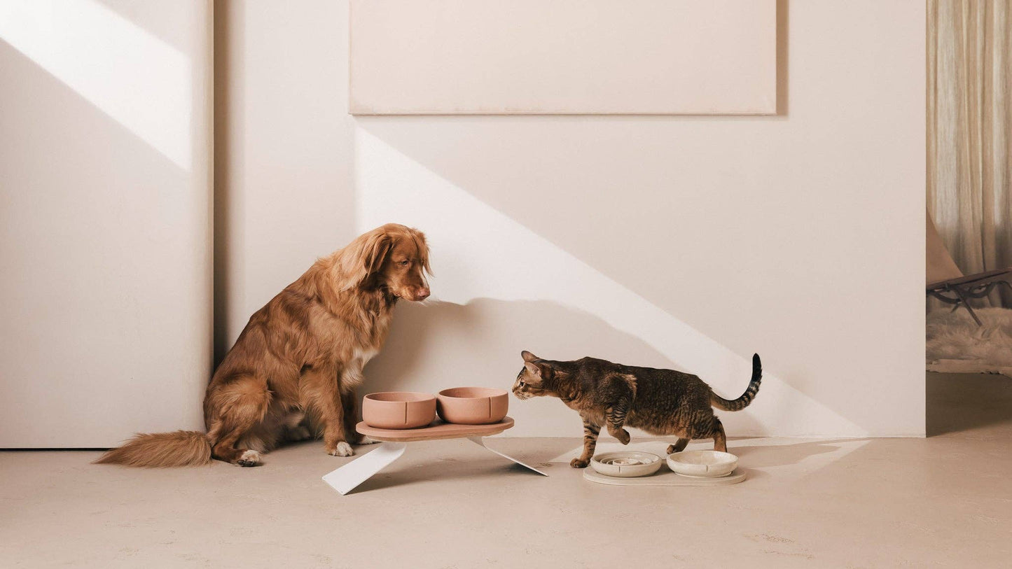 Whisker Friendly Bowl