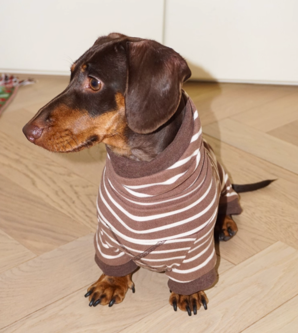 Achin Action Round Cap Heating Four-Legged Suit Dark Brown