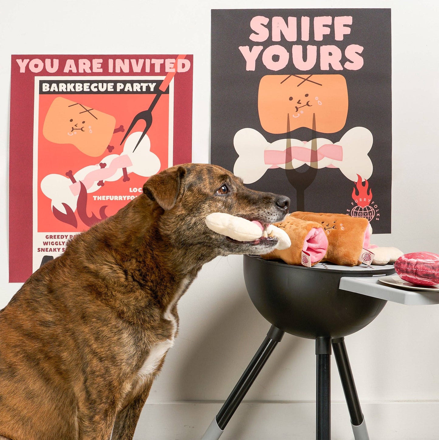 FurryFolks Bone Appétit Nosework Toy