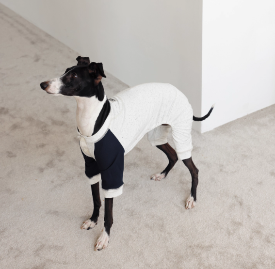 LG Series UPF50+ Anti-Bacterial Cooling Four-Legged Suit