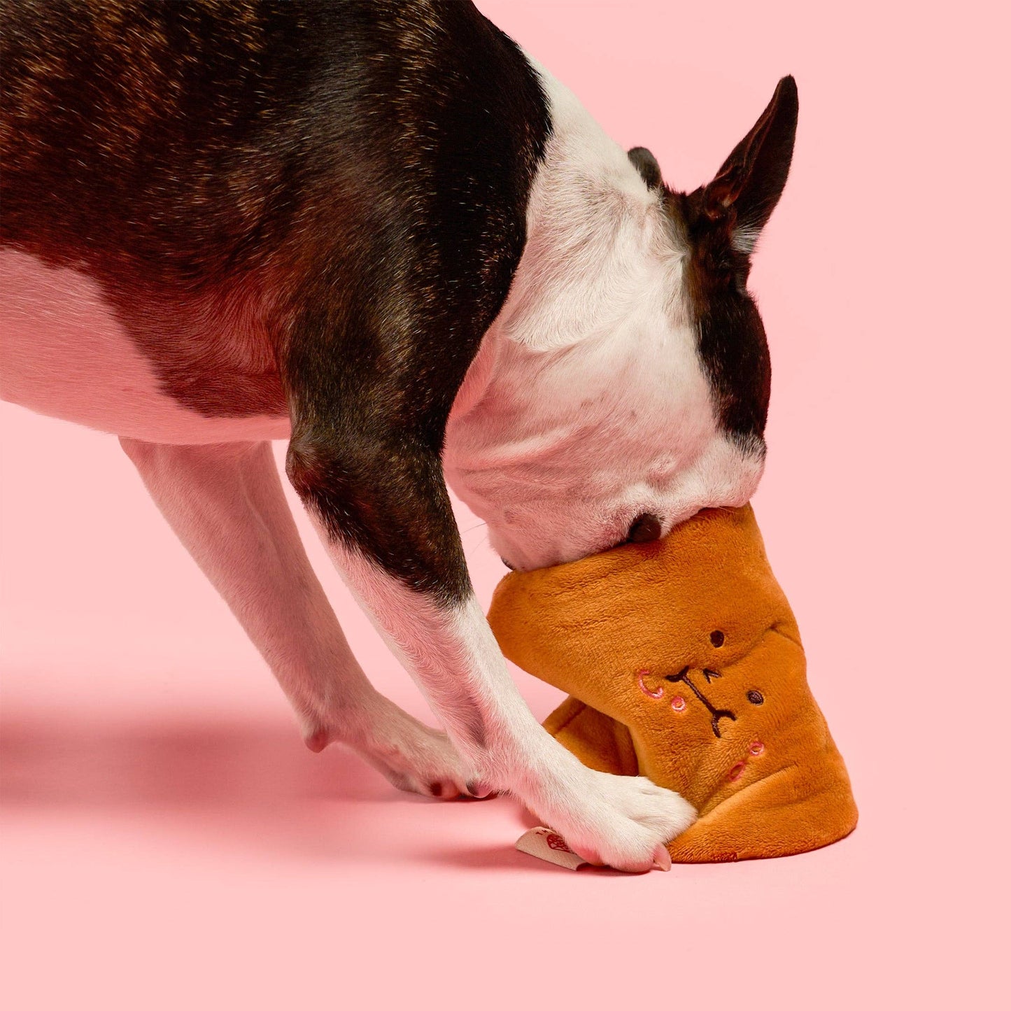 FurryFolks Bone Appétit Nosework Toy