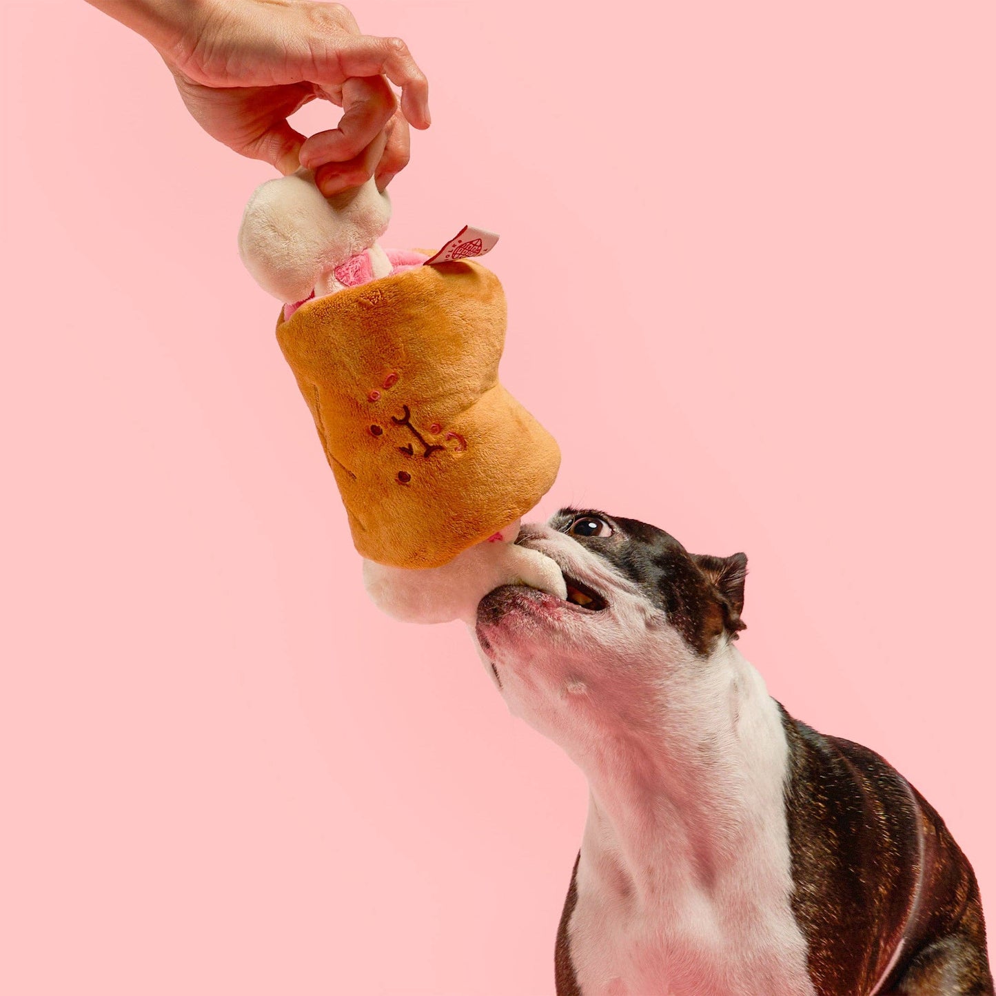 FurryFolks Bone Appétit Nosework Toy