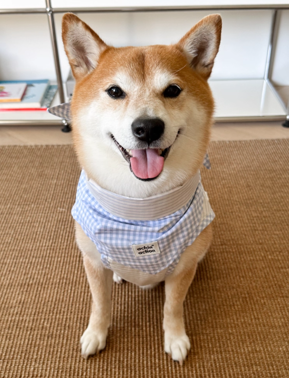 Double-Sided Summer Plaid Top