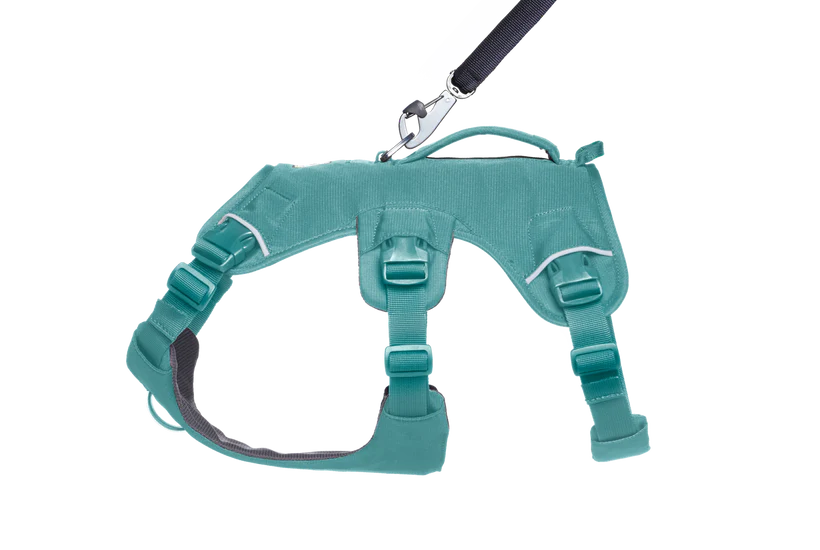 Ruffwear Web Master Dog Harness with Handle