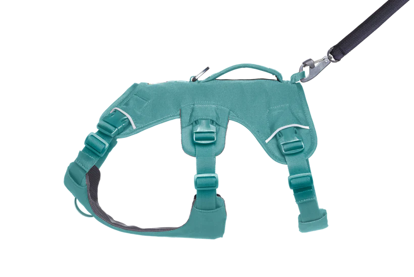 Ruffwear Web Master Dog Harness with Handle