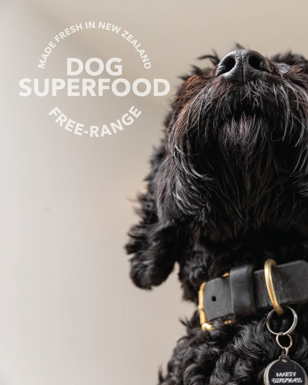 K9 天然冻干牛肉绿牛肚增强剂 75g