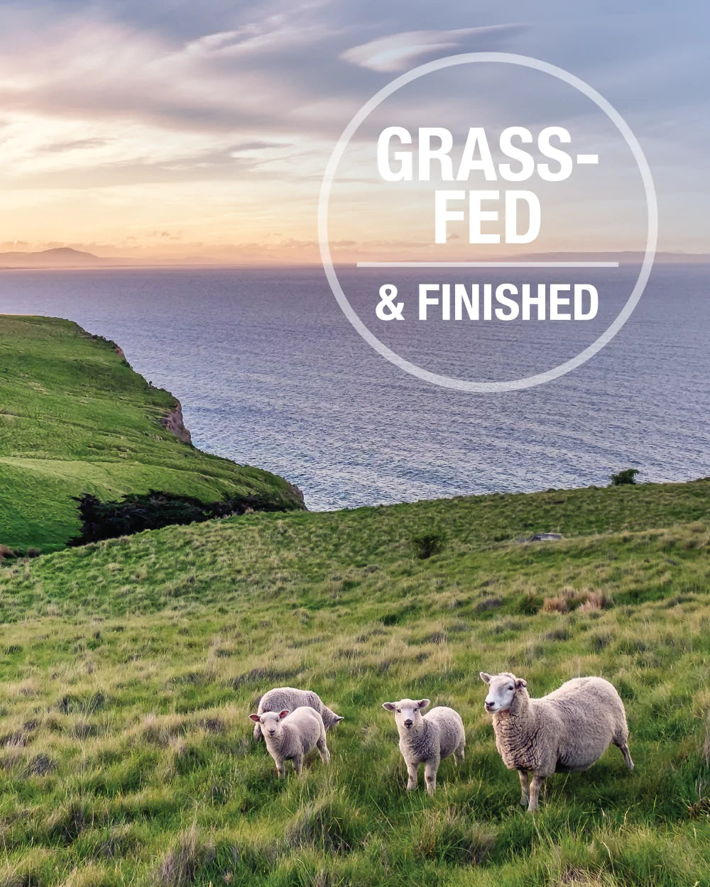 K9 天然冻干牛肉绿牛肚增强剂 75g