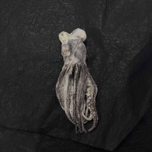 Dobido Freeze Dried Squidtentacle 2pc