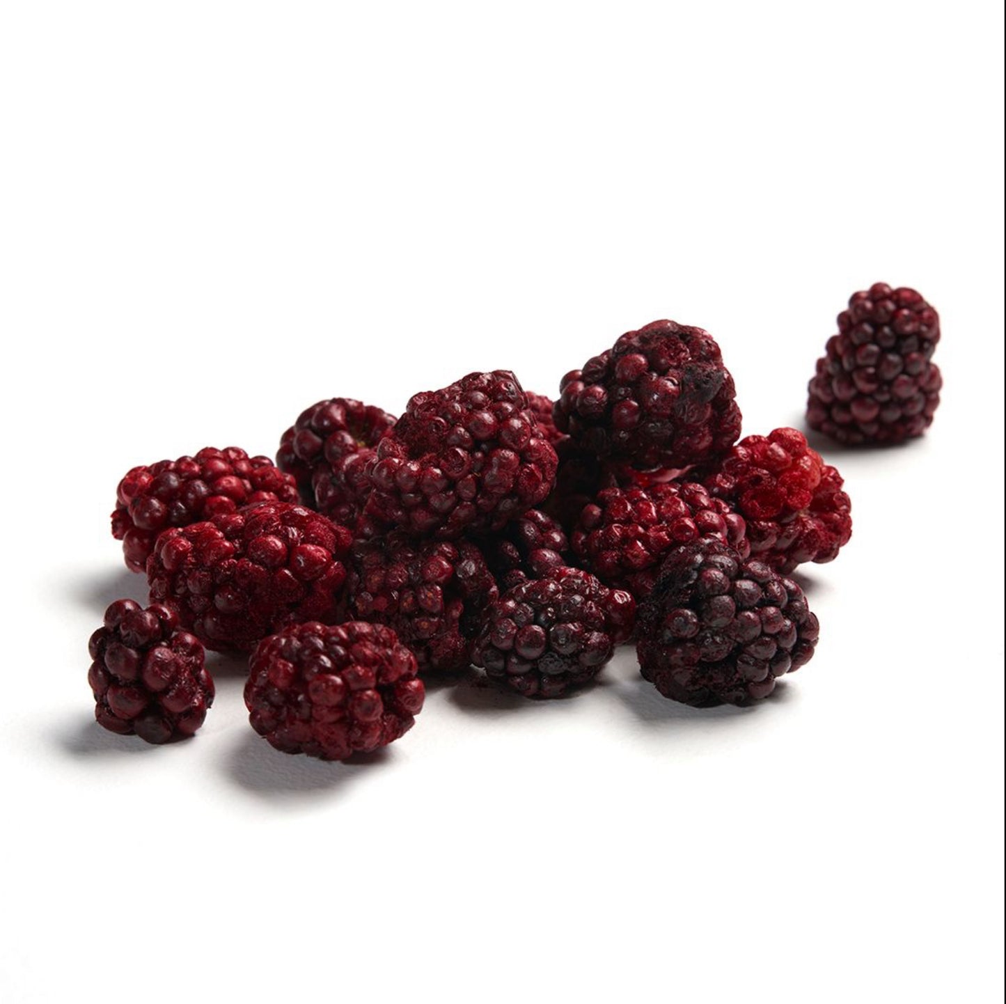 MarumiPet Freeze-Dried Blackberry 40g