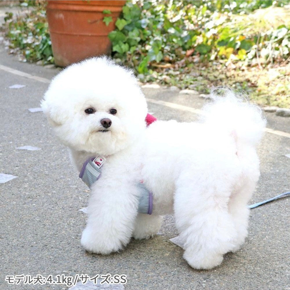 Toy Story Lotso's Harness with Mascot