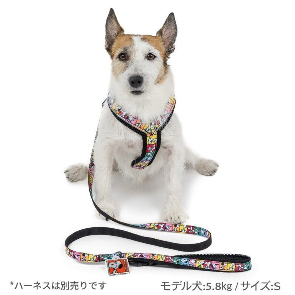 Snoopy 75th Anniversary Leash