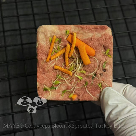 Magic Box Holistic Herbal Nutrition Box