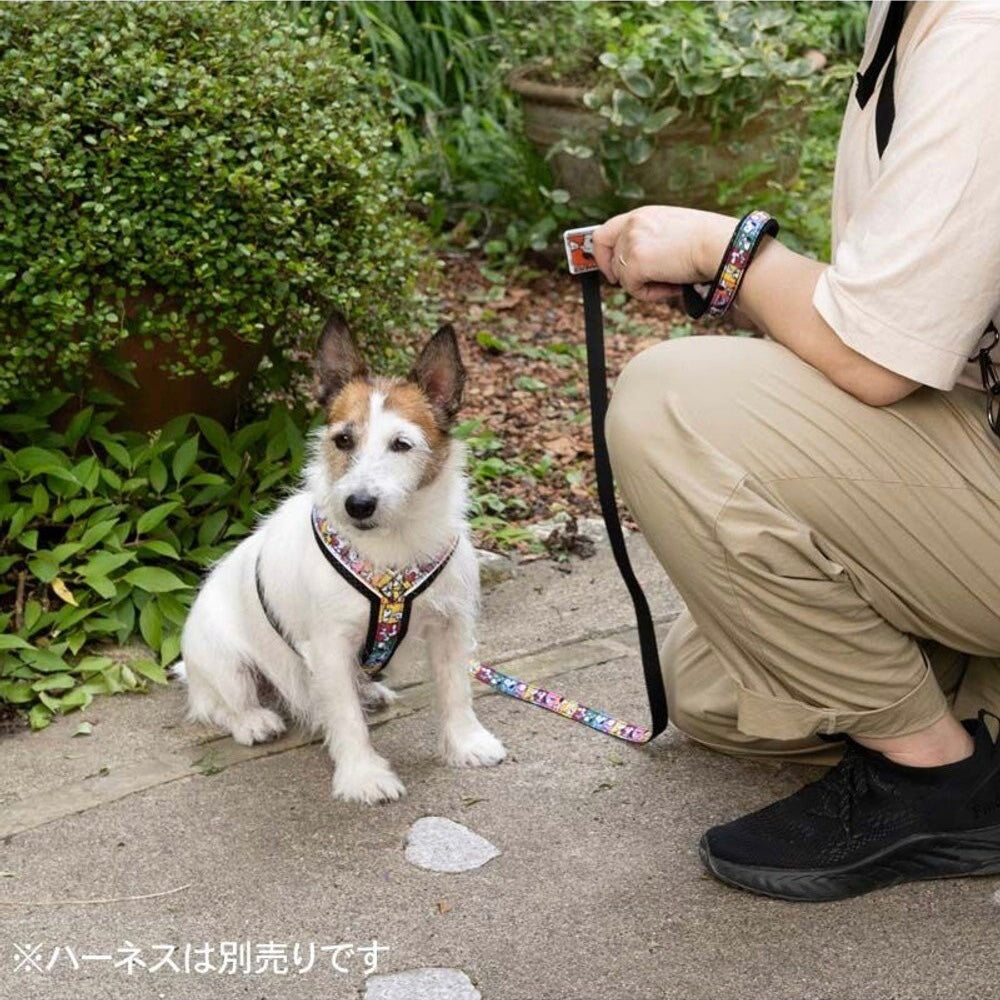 Snoopy 75th Anniversary Leash