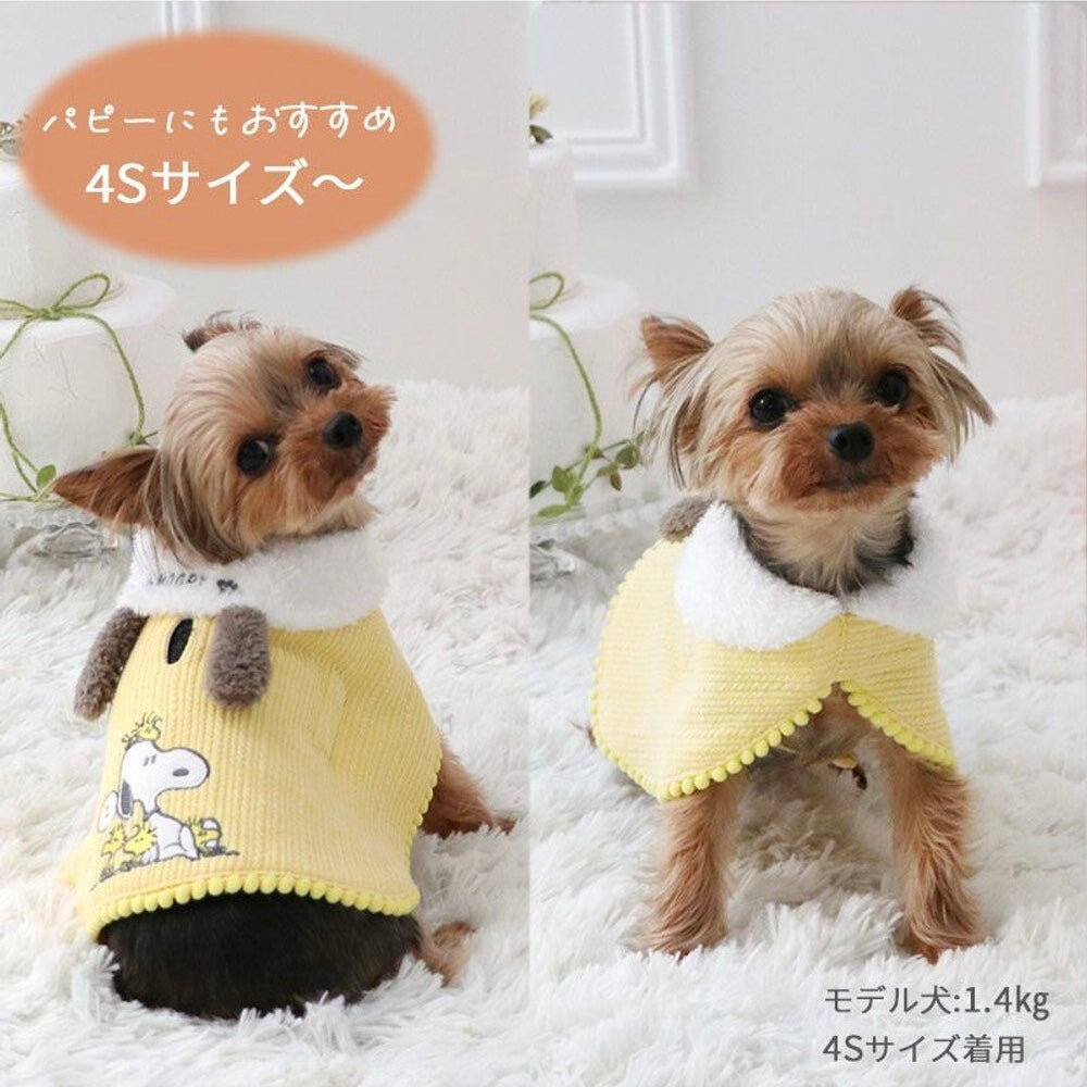 Snoopy and Woodstock Poncho