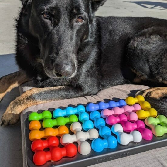 Brightkins Kanoodle Dog Edition Large Puzzle