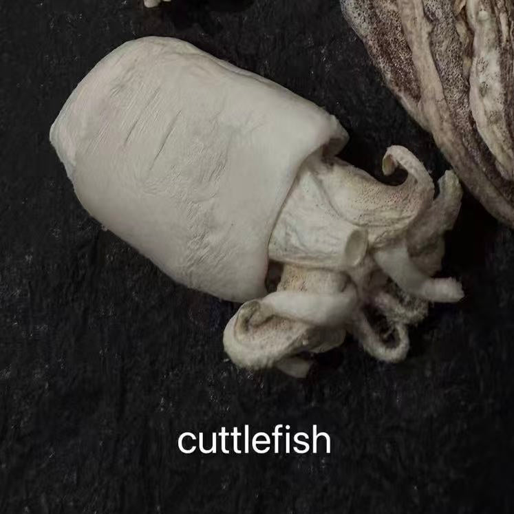 Dobido Freeze Dried Cuttlefish 6pcs