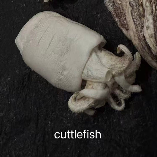 Dobido Freeze Dried Cuttlefish 6pcs