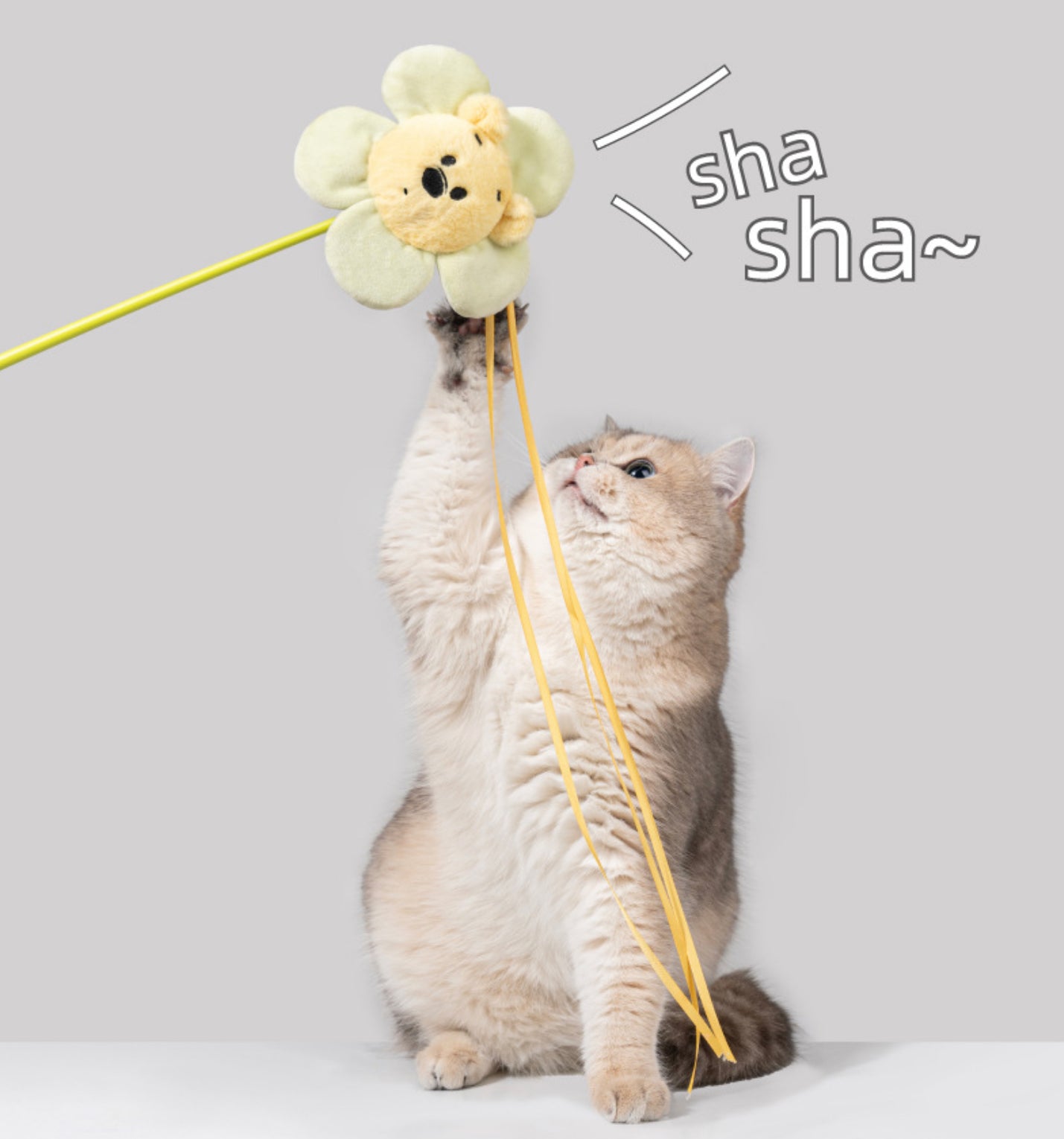 Petsville X Winnie the Pooh Cat Teaser