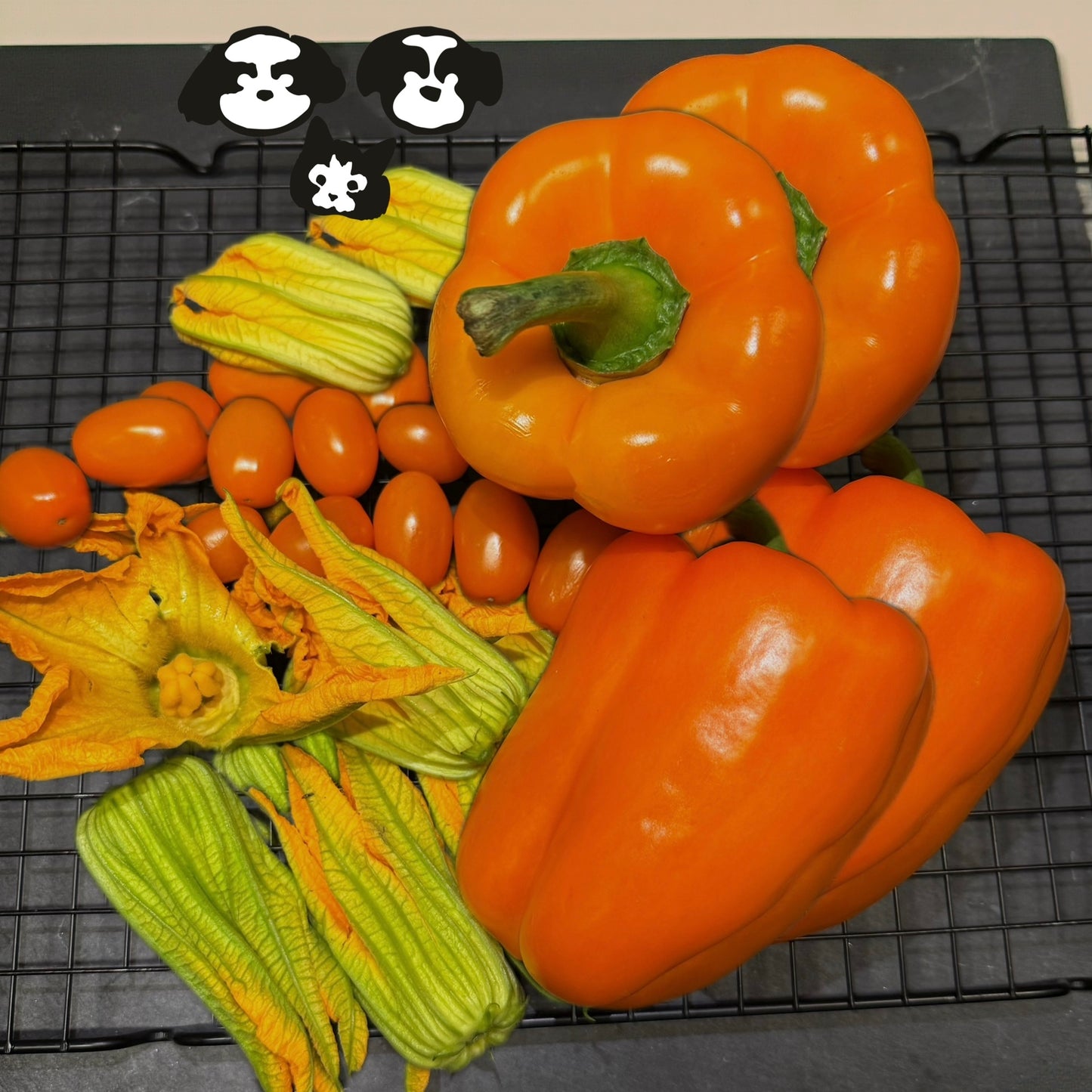 MAYBO Freeze-Dried Veggies&Fruit 40g