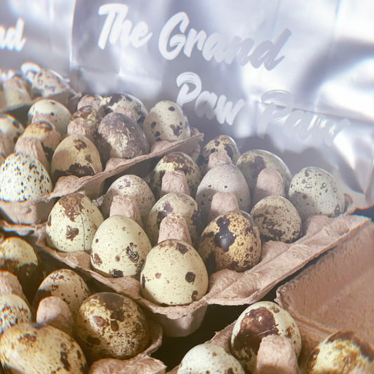 TheGrandPawPaw Quail Eggs 1 Dozen