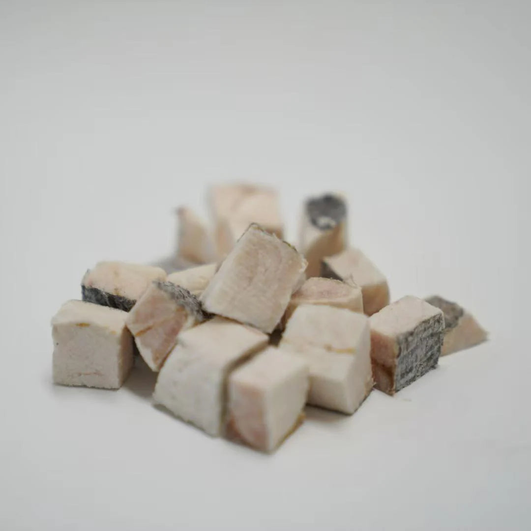 RAFA Freeze-Dried Hoki Fillet 60g