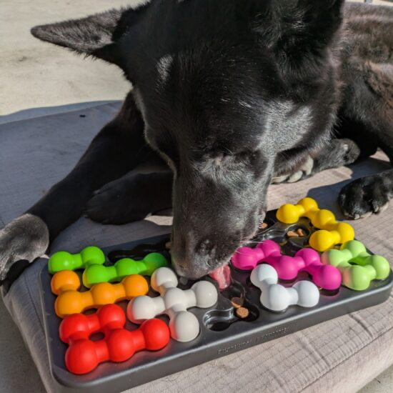 Brightkins Kanoodle Dog Edition Large Puzzle